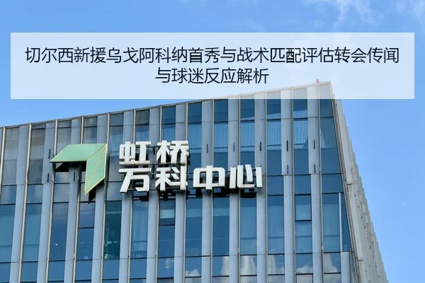切尔西新援乌戈阿科纳首秀与战术匹配评估转会传闻与球迷反应解析